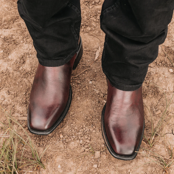 FREEBIRD | MEN'S TIFTON-WINE